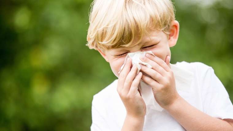 Criança limpando o nariz: tratamento farmacológico inclui os anti-histamínicos que são considerados medicamentos de primeira linha para rinite alérgica