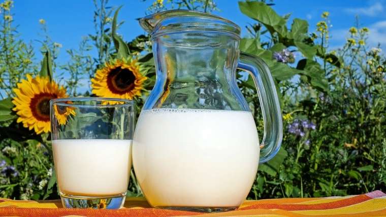 Jarra e copo de leite: ao completarem o primeiro ano de vida, entre 80 a 90% dos lactentes já desenvolvem tolerância